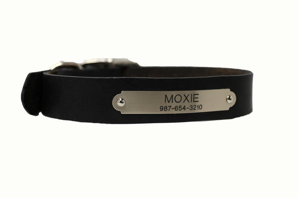 Classic Padded Collar (Nameplate Optional) - Moxie Collars