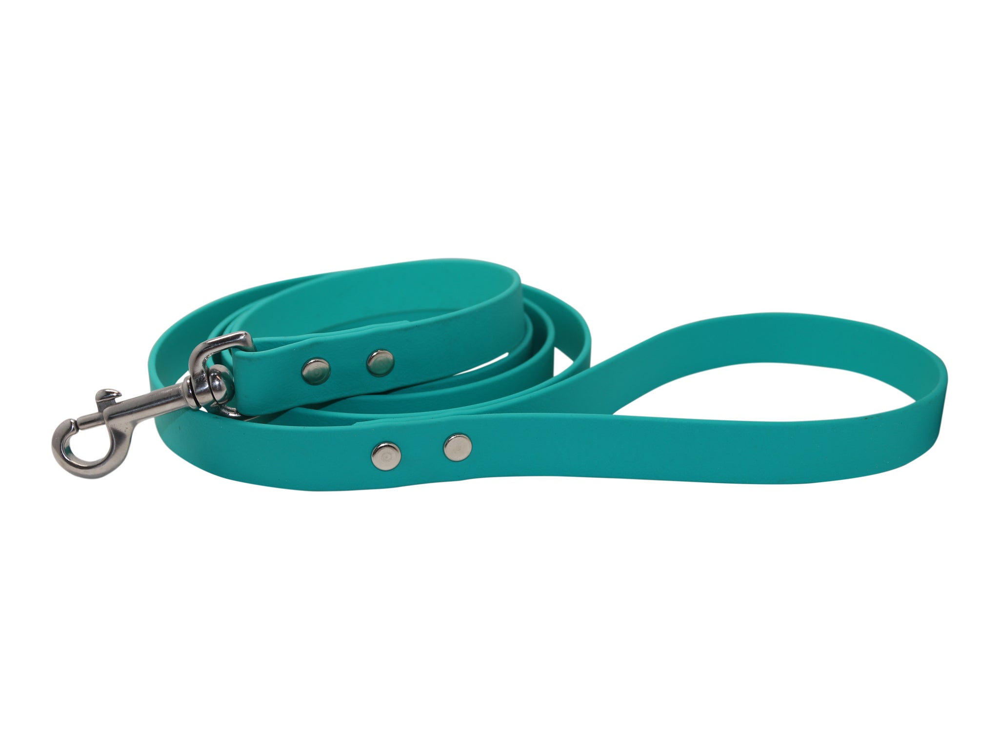 Biothane Waterproof Dog Leash - Sage Green Solid Brass